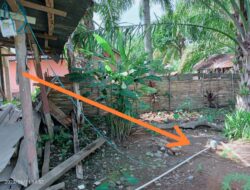 Dugaan Tiga Titik Sumur Bor di Desa Tanjung Aur Ada yang Fiktif,ini Penjelasannya