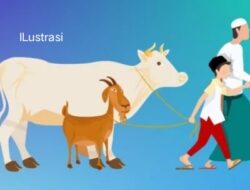 KEMENAG B/U Menyampaikan Rincian Hewan yang Akan di Sembelih pada Hari Idul Adha 1444 H.