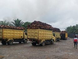 Awasi Harga TBS Yang Anjlok Jelang Lebaran,DPRD Bengkulu Tengah Lakukan Pengawasan