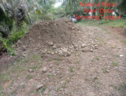 DUGAAN DANA DESA SEBERANG TUNGGAL JADI LADANG KORUPSI