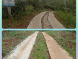 Pembangunan Jalan Rabat Beton Disambut Baik Warga Desa Air Baus II