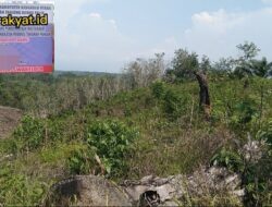 Program Ketahanan Pangan Desa Lubuk Gading Diduga Bermasalah