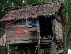 Nafsu Birahi Tak Terbendung, Pondok Kebun Saksi Bisu Dugaan Pungli