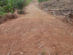 Tanpa Papan Merek Kegiatan Pembukaan Ruas jalan Lingkar Usaha Tani Di Desa Tanjung Kupang Baru, Perlu Di Pertanyakan