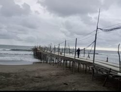 Menjamurnya Tambak Udang di Bengkulu Utara, Berpotensi Merusak dan Mencemari Lingkungan