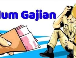 Nakes PPPK di Bengkulu Utara Mengeluh Gaji Belum Cair