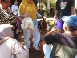 Oknum Pjs Kades Diduga Selewengkan Program Ketahanan Pangan Desa Talang Ulu