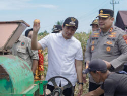 Bupati Bengkulu Utara Hadiri Panen Raya Jagung, Perkuat Ketahanan Pangan