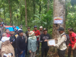 Peringati Hari Lingkungan Hidup Sedunia, Bupati Bengkulu Utara Pimpin Aksi Tanam Pohon di Kawasan Lemo Nakai