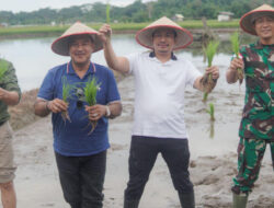 Memastikan Kondisi Ekonomi Masyarakat Sudah Normal, Bupati Bengkulu Utara Ngantor di Pulau Enggano