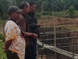 Pemdes Pagar Gunung Jadikan Usaha Membudidayakan Ikan Nila Sebagai Program Ketahanan pangan Desa