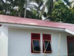 Atap Seng Tidak Menggunakan Nok, Revitalisasi SDN 103 Bengkulu Utara Diduga Tidak Sesuai Spesifikasi