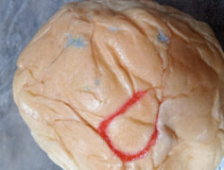 Roti MBG Diduga Berjamur di SD IT Darul Fikri, Wali Murid Resah