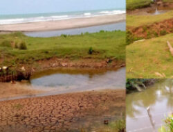 Tambak Udang di Bengkulu Utara Limbahnya Diduga Tidak Diproses IPAL