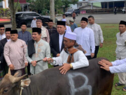 Usai Sholat Idul Adha, Bupati Arie Serahkan Sapi Kurban Untuk Dibagikan ke Masyarakat